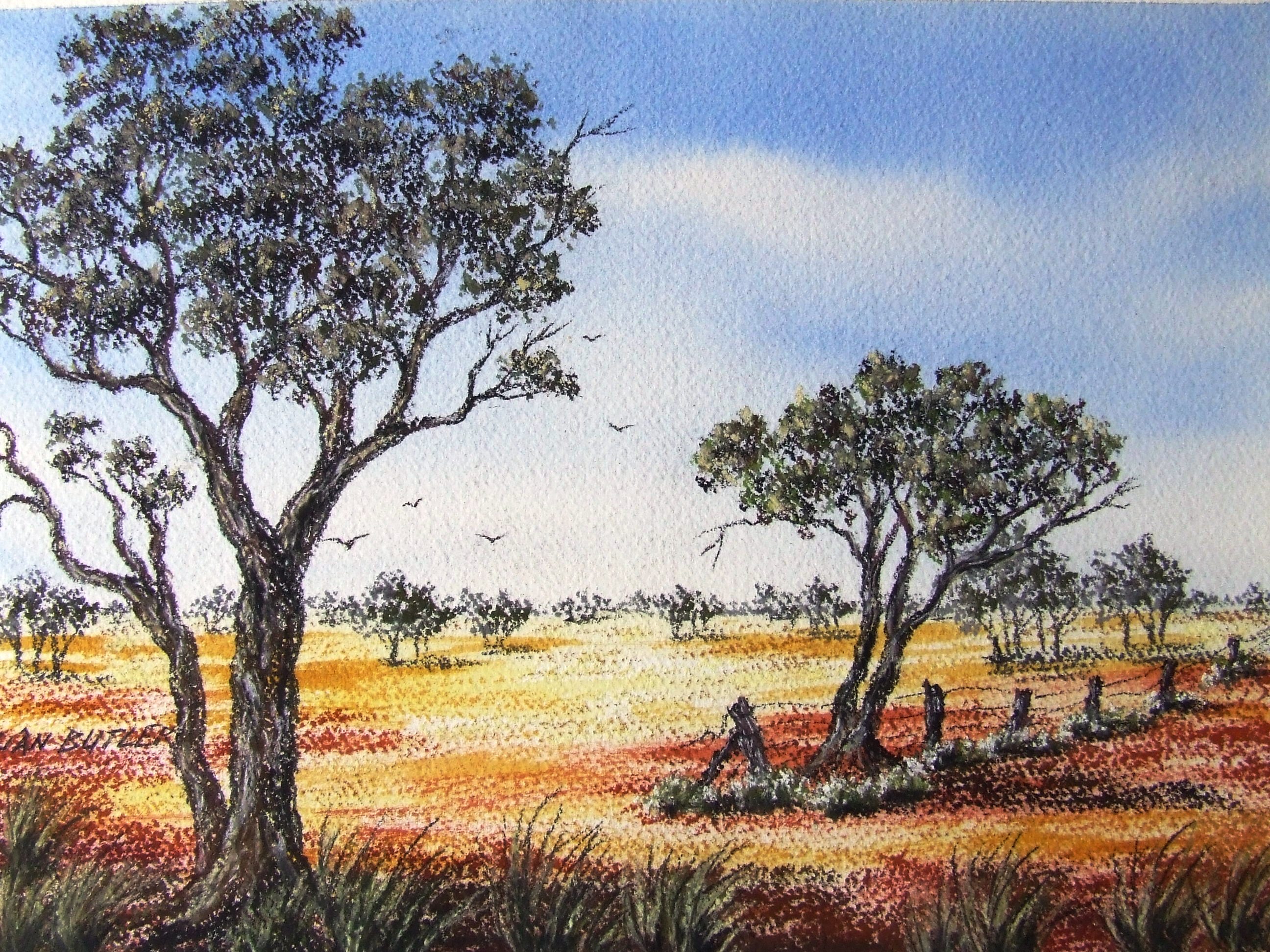 AUSTRALIA  old outback painting art photo landscape print canvas poster 