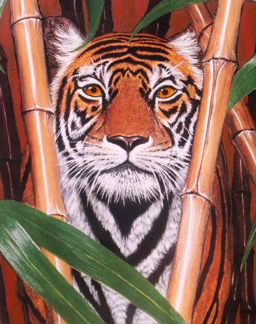 Tiger in pastel.