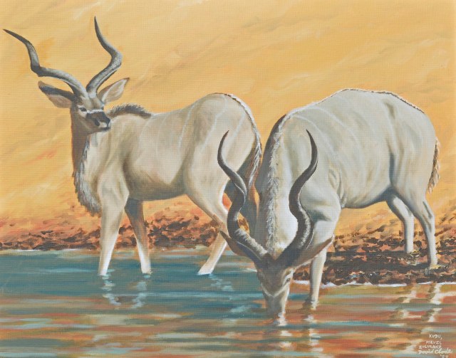 Kudu bulls at a waterhole, Mkuzi Game Reserve, Kwazulu Natal. Acrylic painting by David Clode.