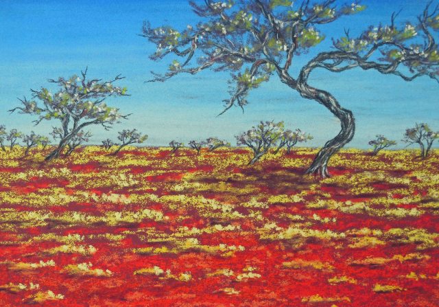 "Gidgee Trees". Outback New South Wales. Pastel artwork by Sian Butler.