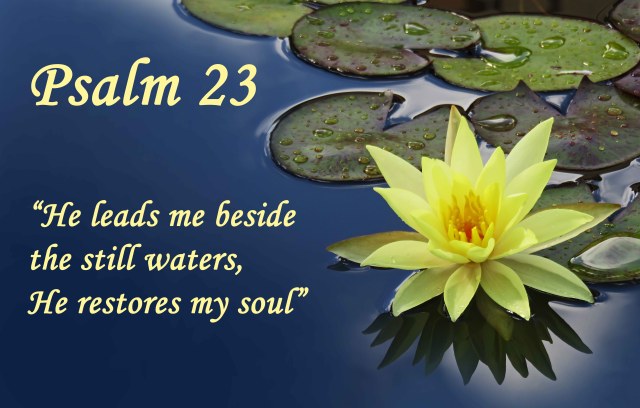 Psalm 23 Scripture verse poster. David Clode.