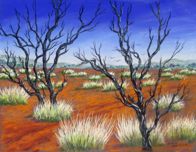 Spinifex country. Outback painting by Sian Butler.