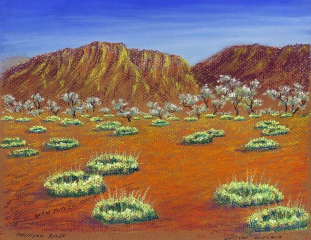 Spinifex rings. Australian pastel painting by Sian Butler.