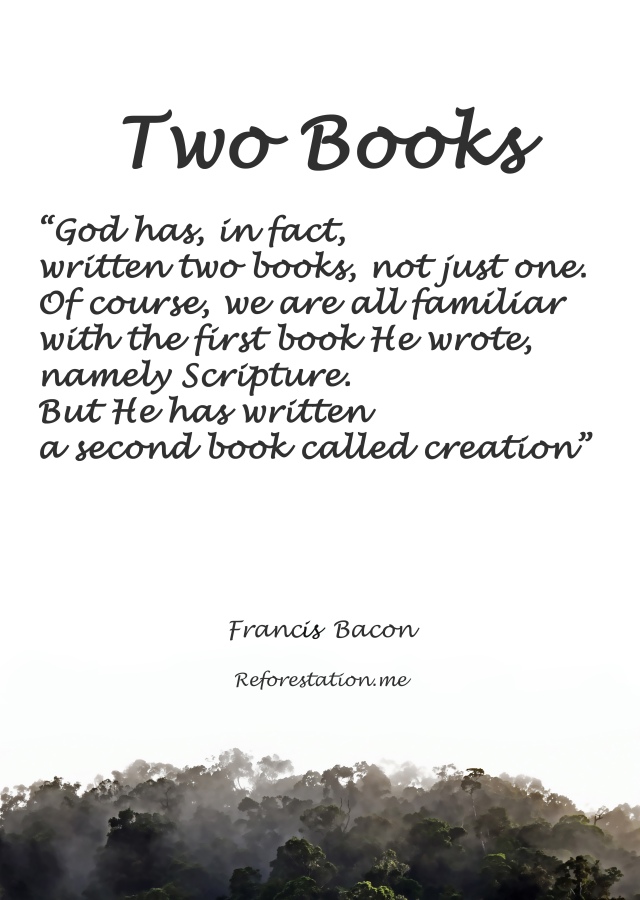 Two Books Poster by David Clode.