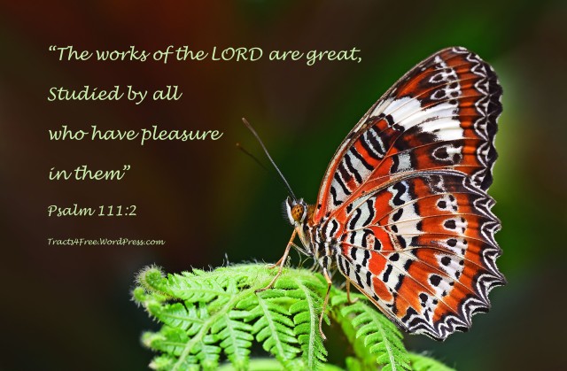 "The works of the LORD are great" Bible verse poster. Photo and poster by David Clode.